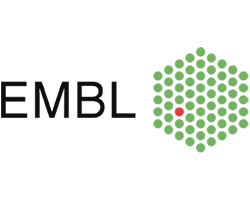 European Molecular Biology Laboratory logo